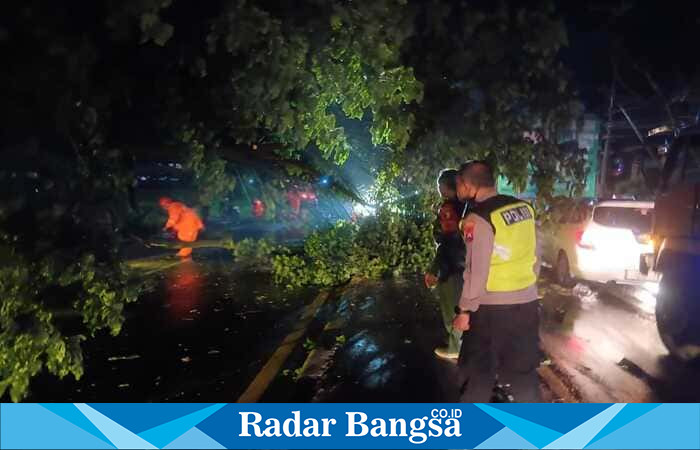 Petugas dan warga mengevakuasi pohon tumbang yang menutup jalur utama Sukodadi. (Foto Dok Ho/RadarBangsa.co.id)