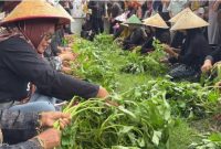 Foto kegiatan lomba unting-unting kangkung di Kelurahan Penataban. (Foto Dok Ho/RadarBangsa.co.id)