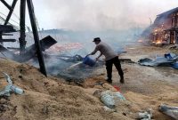 Petugas dan warga berupaya memadamkan kebakaran kandang ayam di Brondong. (Foto Dok Ho/RadarBangsa.co.id)