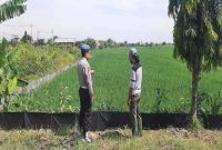 Anggota Polsek Tikung saat patroli dialogis di persawahan warga Desa Bakalanpule, Kecamatan Tikung, Lamongan, mendukung Program Pekarangan Pangan Bergizi. (Foto Dok Ho/RadarBangsa.co.id)