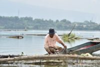 Nelayan memanen ikan lempuk menggunakan keramba berlampu di Danau Ranu Grati, Pasuruan. (Foto Dok Ho/RadarBangsa.co.id)