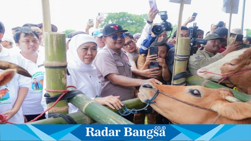 Gubernur Jawa Timur Khofifah Indar Parawansa saat distribusi vaksin PMK tahap pertama di Surabaya, Kamis (29/1/2026). (Foto Dok Ho/Nul-RadarBangsa.co.id)
