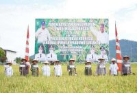 Kepala Staf Kodam XII/Tanjungpura Brigjen TNI Putra Widyawinaya menghadiri panen raya padi di Kabupaten Mempawah. (Foto Dok Ho/RadarBangsa.co.id)