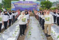 Gubernur Jawa Timur Khofifah Indar Parawansa memimpin penanaman dan panen serentak Program SIKAP di SMKN 1 Plosoklaten, Kediri, Minggu (25/1). (Foto Dok Ho/Nul-RadarBangsa.co.id)