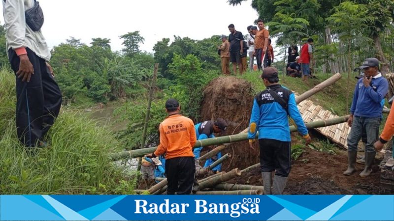 Petugas BPBD Kabupaten Probolinggo bersama lintas sektor melakukan penanganan darurat tanggul sungai jebol di Desa Sukokerto, Kecamatan Pajarakan, Senin (26/1/2026). (Foto Dok Kominfo/Ho-Nul-RadarBangsa.co.id)
