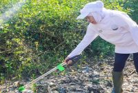 Gubernur Jawa Timur Khofifah Indar Parawansa memimpin aksi Kurve Sampah Pantai di Pantai Tambak Wedi, Surabaya, Jumat, 6 Februari 2026. (Foto Dok Ho/Nul-RadarBangsa.co.id)