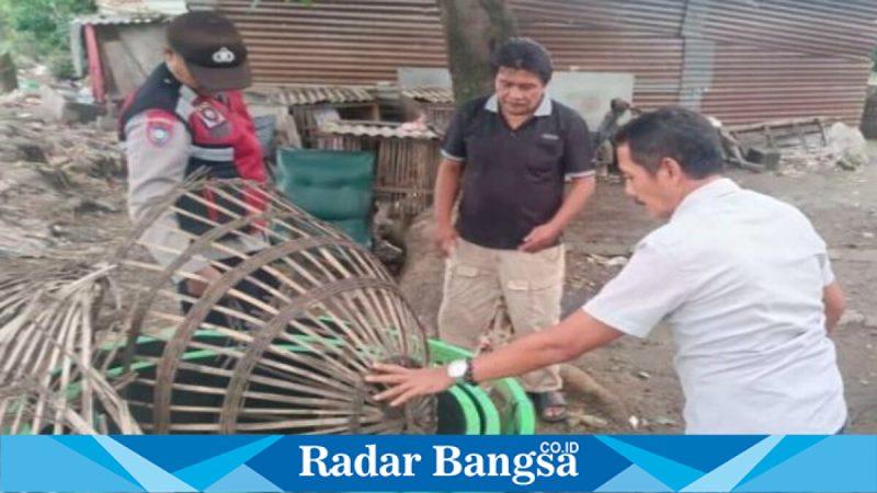 Petugas Polsek Prambon bersama tokoh masyarakat membongkar lokasi dugaan sabung ayam di Desa Jatikalang, Minggu (1/2/2026). (Foto Dok Ho/Nul-RadarBangsa.co.id)