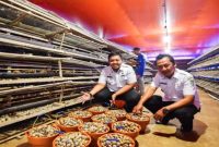 Kandang budidaya burung puyuh milik Bumdes Kandung saat produksi telur, Rabu (18/2/2026). (Foto Dok Ho/RadarBangsa.co.id)