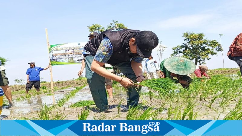 Bupati Lamongan Yuhronur Efendi bersama petani saat Gerakan Tanam Padi MT2 di Desa Lopang, Kembangbahu, Kamis (5/3/2026). (Foto Dok Ho/RadarBangsa.co.id)