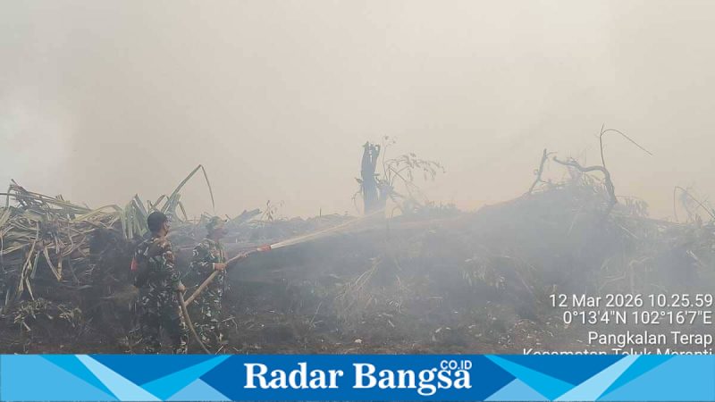 Kebakaran lahan gambut di Desa Merbau, Pelalawan, Riau, yang diduga berasal dari area koperasi dan meluas ke perkebunan warga, Jumat (13/4/2026). (Foto Dok Ho/RadarBangsa.co.id)