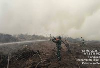 Petugas gabungan melakukan pendinginan lokasi kebakaran hutan di Desa Merbau, Kecamatan Bunut, Pelalawan, Kamis (12/3/2026). (Foto Dok Ho/RadarBangsa.co.id)