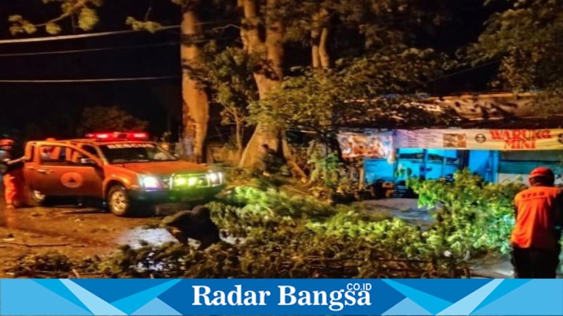 Petugas mengevakuasi pohon tumbang akibat hujan deras dan angin kencang di Kabupaten Pasuruan, Rabu (5/3/2026). (Foto Dok Ho/RadarBangsa.co.id)