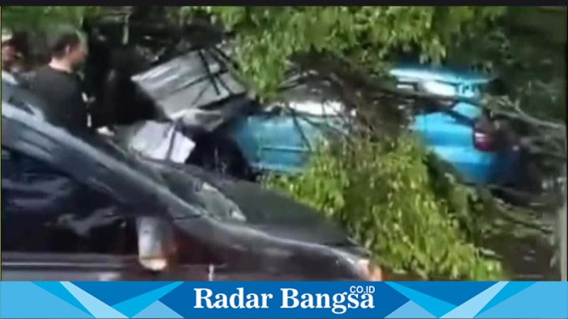 Petugas mengevakuasi pohon tumbang di Jalan Suratmo Raya, Semarang, Rabu (4/3/2026). (Foto Dok Ho/RadarBangsa.co.id)