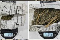 Petugas Satres Narkoba Polres Lubuk Linggau mengamankan barang bukti ganja, Minggu (1/3/2026). (Foto Dok Ho/RadarBangsa.co.id)