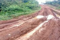 Kondisi jalan rusak parah di Pekon Margo Mulyo, Rabu (22/4/2026). (Foto Dok Ho/RadarBangsa.co.id)
