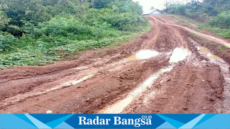 Kondisi jalan rusak parah di Pekon Margo Mulyo, Rabu (22/4/2026). (Foto Dok Ho/RadarBangsa.co.id)