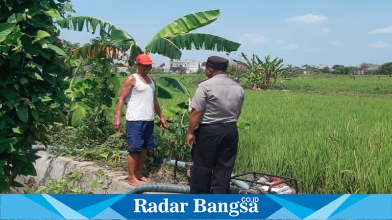 Anggota Polsek Tikung patroli lahan pertanian warga di Desa Pengumbulanadi, Kamis (23/4/2026). (Foto Dok Ho/RadarBangsa.co.id)