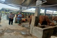 Kapolsek Tikung saat sambang ke kandang sapi warga, Senin (27/4/2026). (Foto Dok Ho/RadarBangsa.co.id)