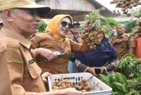 Wabup Sidoarjo Mimik Idayana saat memetik klengkeng di Tulangan, Selasa (31/3/2026). (Foto Dok Ho/RadarBangsa.co.id)