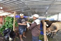 Petugas DKP3 Kabupaten Pasuruan memeriksa kesehatan sapi dan kambing di lapak hewan qurban Kecamatan Pohjentrek, Rabu, 20 Mei 2026. (Foto Dok Ho/RadarBangsa.co.id)