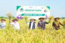 Gubernur Khofifah memimpin gerakan panen dan percepatan tanam di Madiun, Jumat, 8 Mei 2026.  (Foto Dok Ho/RadarBangsa.co.id)