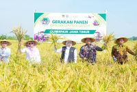 Gubernur Khofifah memimpin gerakan panen dan percepatan tanam di Madiun, Jumat, 8 Mei 2026.  (Foto Dok Ho/RadarBangsa.co.id)