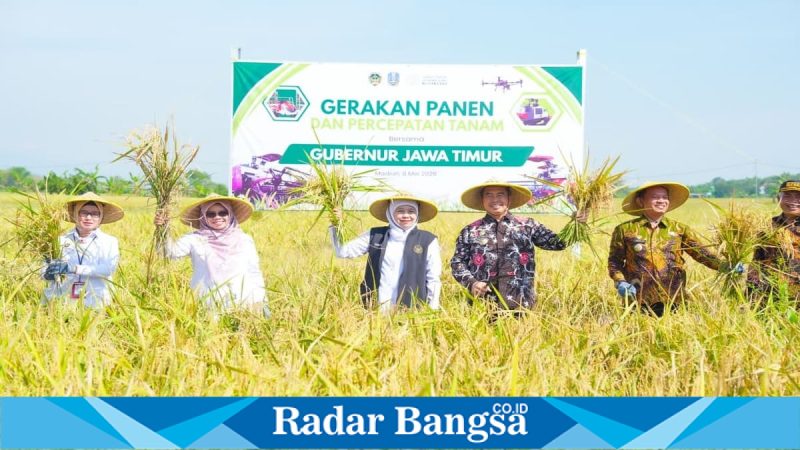 Gubernur Khofifah memimpin gerakan panen dan percepatan tanam di Madiun, Jumat, 8 Mei 2026.  (Foto Dok Ho/RadarBangsa.co.id)