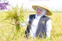 Gubernur Jawa Timur Khofifah Indar Parawansa saat memimpin Gerakan Panen dan Percepatan Tanam di Desa Gading, Kabupaten Madiun, Jumat (8/5/2026). (Foto Dok Ho/RadarBangsa.co.id)