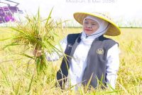 Gubernur Jawa Timur Khofifah Indar Parawansa saat memimpin Gerakan Panen dan Percepatan Tanam di Desa Gading, Kabupaten Madiun, Jumat (8/5/2026). (Foto Dok Ho/RadarBangsa.co.id)