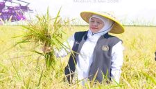 Gubernur Jawa Timur Khofifah Indar Parawansa saat memimpin Gerakan Panen dan Percepatan Tanam di Desa Gading, Kabupaten Madiun, Jumat (8/5/2026). (Foto Dok Ho/RadarBangsa.co.id)