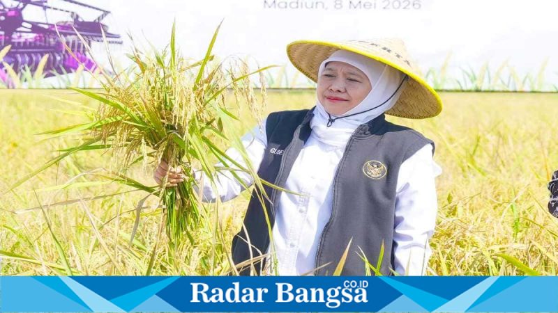 Gubernur Jawa Timur Khofifah Indar Parawansa saat memimpin Gerakan Panen dan Percepatan Tanam di Desa Gading, Kabupaten Madiun, Jumat (8/5/2026). (Foto Dok Ho/RadarBangsa.co.id)