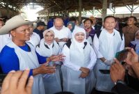 Gubernur Jawa Timur Khofifah Indar Parawansa meninjau kesiapan hewan kurban di Peternakan Suparto, Kedungpring, Lamongan, Minggu, 24 Mei 2026. (Foto Dok Ho/RadarBangsa.co.id)