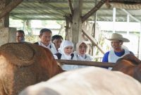 Gubernur Jawa Timur Khofifah Indar Parawansa meninjau kesiapan hewan kurban di Peternakan Pak Suparto, Kedungpring, Lamongan, Minggu, 24 Mei 2026. (Foto Dok Ho/RadarBangsa.co.id)