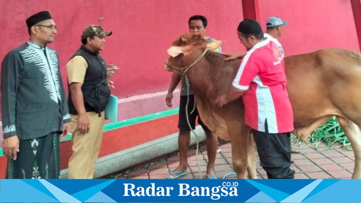 Pemerintah Kabupaten Pasuruan menyalurkan 260 hewan qurban ke 24 kecamatan. Rabu, 27 Mei 2026 (Foto Dok Ho/RadarBangsa.co.id)
