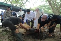 Pemkab Asahan melaksanakan penyembelihan 101 hewan kurban di Alun-Alun Rambate Rata Raya Kisaran. Rabu, 27 Mei 2026   (Foto Dok Ho/RadarBangsa.co.id)