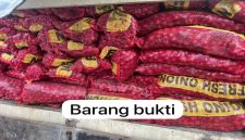 Petugas Satreskrim Polres Pelalawan menunjukkan truk dan ratusan karung bawang ilegal hasil penindakan di Teluk Meranti, Senin (4/5/2026). (Foto Dok Ho/RadarBangsa.co.id)