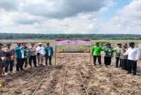 Polsek Pangkalan Kuras bersama KUD Sawit Harapan Jaya melakukan penanaman jagung pipil di Desa Harapan Jaya, Pelalawan, Jumat, 29 Mei 2026. (Foto Dok Ho/RadarBangsa.co.id)