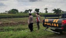 Petugas Polsek Tikung saat patroli di area persawahan warga di Dusun Mumbulan, Selasa (5/5/2026). (Foto Dok Ho/RadarBangsa.co.id)
