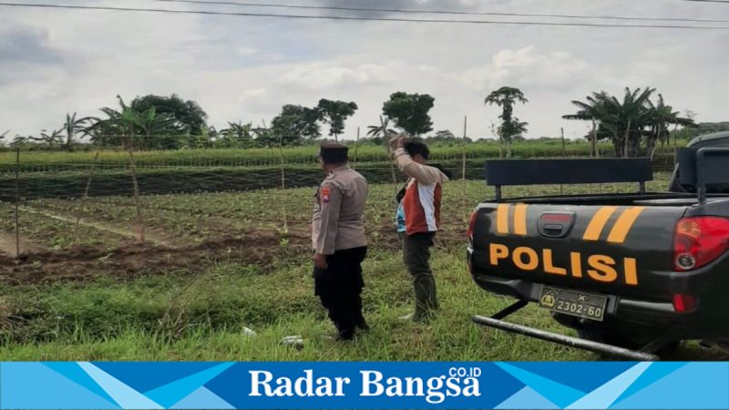 Petugas Polsek Tikung saat patroli di area persawahan warga di Dusun Mumbulan, Selasa (5/5/2026). (Foto Dok Ho/RadarBangsa.co.id)