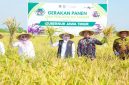Gubernur Jawa Timur Khofifah Indar Parawansa memimpin Gerakan Panen dan Percepatan Tanam di Desa Gading, Kabupaten Madiun, Jumat (8/5/2026). (Foto Dok Ho/RadarBangsa.co.id)
