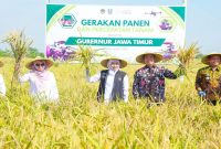 Gubernur Jawa Timur Khofifah Indar Parawansa memimpin Gerakan Panen dan Percepatan Tanam di Desa Gading, Kabupaten Madiun, Jumat (8/5/2026). (Foto Dok Ho/RadarBangsa.co.id)