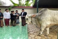 Bupati Sidoarjo Subandi menyerahkan hewan kurban saat Idul Adha 1447 Hijriah di Masjid Agung Sidoarjo. Selasa, 27 Mei 2026. (Foto Dok Ho/RadarBangsa.co.id)