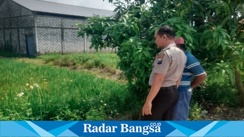 Petugas Polsek Tikung saat memantau perkembangan tanaman dalam program Pekarangan Pangan Bergizi (P2B) di Desa Guminingrejo, Senin (4/5/2026). (Foto Dok Ho/RadarBangsa.co.id)