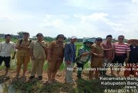 Sosialisasi tanam benih padi biofortifikasi di Mlajah Timur, Senin (4/5/2026). (Foto Dok Ho/RadarBangsa.co.id)