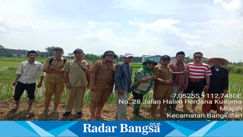 Sosialisasi tanam benih padi biofortifikasi di Mlajah Timur, Senin (4/5/2026). (Foto Dok Ho/RadarBangsa.co.id)