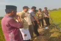 Petugas bersama warga melakukan evakuasi petani yang tewas akibat tersengat jebakan tikus listrik di Kecamatan Kalitengah, Lamongan. (Foto Dok Ho/RadarBangsa.co.id)