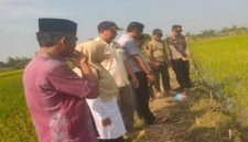 Petugas bersama warga melakukan evakuasi petani yang tewas akibat tersengat jebakan tikus listrik di Kecamatan Kalitengah, Lamongan. (Foto Dok Ho/RadarBangsa.co.id)