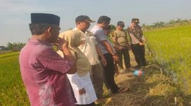 Petugas bersama warga melakukan evakuasi petani yang tewas akibat tersengat jebakan tikus listrik di Kecamatan Kalitengah, Lamongan. (Foto Dok Ho/RadarBangsa.co.id)