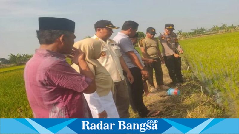 Petugas bersama warga melakukan evakuasi petani yang tewas akibat tersengat jebakan tikus listrik di Kecamatan Kalitengah, Lamongan. (Foto Dok Ho/RadarBangsa.co.id)