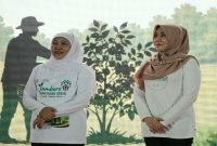 (Kanan) Gubernur Jawa Timur Khofifah Indar Parawansa bersama (kiri) Anggota DPD RI Lia Istifhama. Keduanya mendorong penguatan kopi hutan sebagai komoditas unggulan perhutanan sosial yang terus berkembang hingga menembus pasar ekspor. Senin (15/6/2026). (Foto Dok Ho/RadarBangsa.co.id)